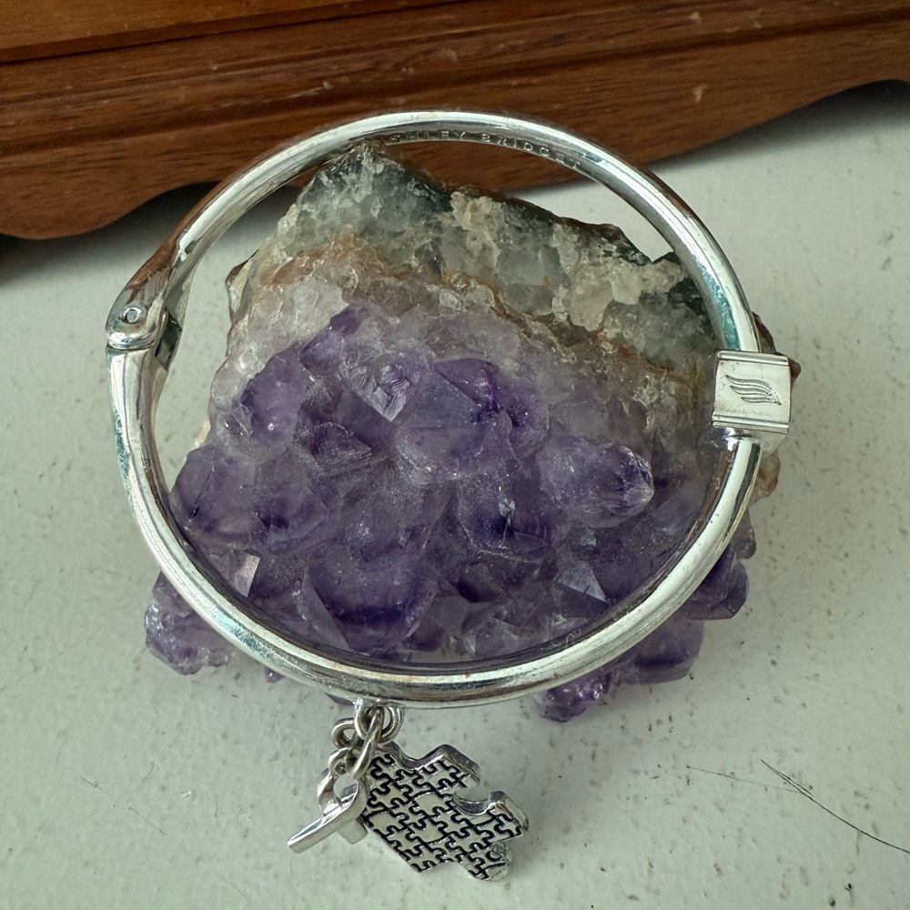 Ashley Bridget Silver Charm Bracelet
